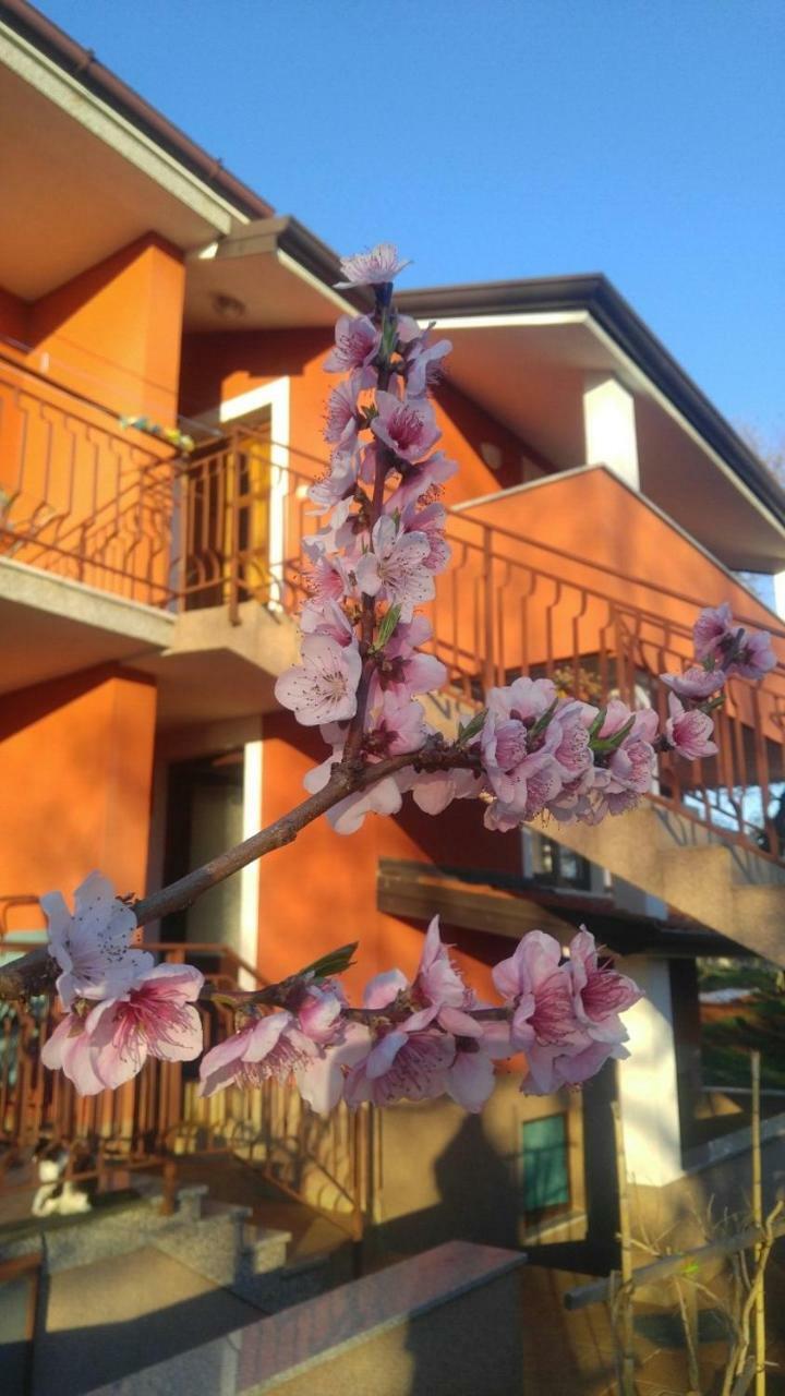 Apartment Zita With 1 Bedroom In Relaxing Surroundings Near Umag Umago Esterno foto